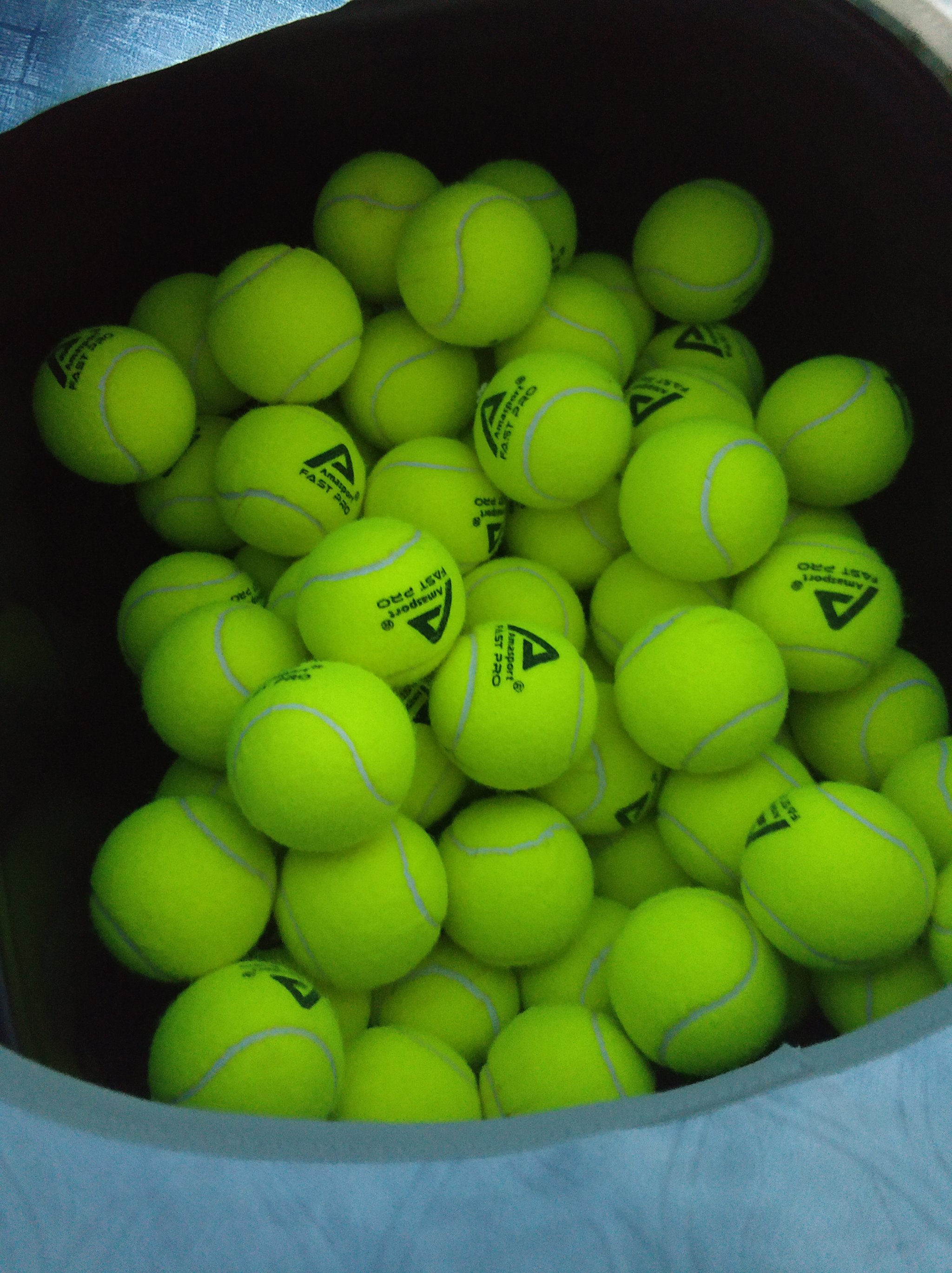 明他的春训 明他的春训